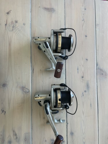 Pair daiwa longbeam - daiwa,