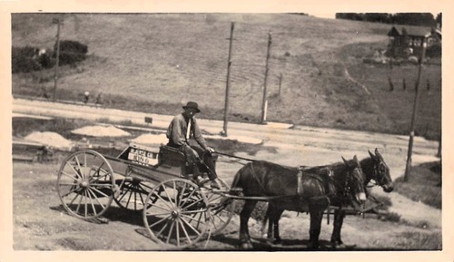 Horse drawn wagon rural - horse,