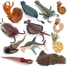 Anomalocaris Deep Sea Marine
