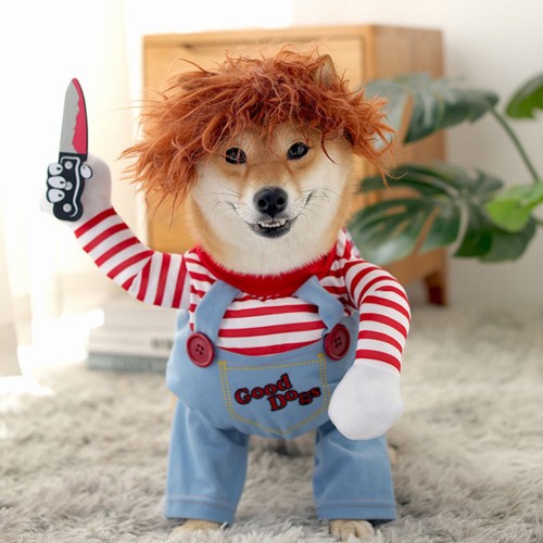 Pets dogs halloween - halloween, costume
