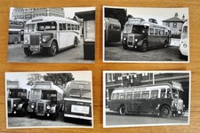 8 bus photographs: Eastern National 1950s single-deck selection