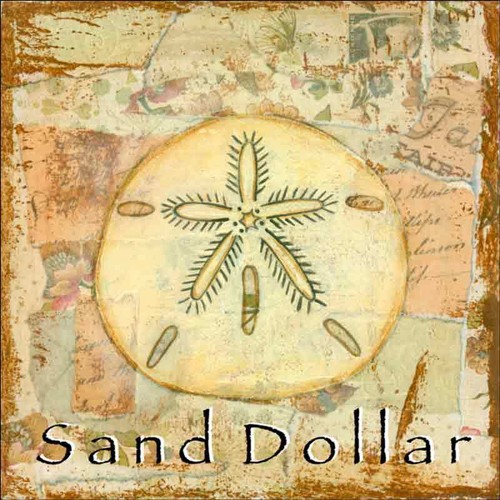 Sand dollar accent decor - sand, &