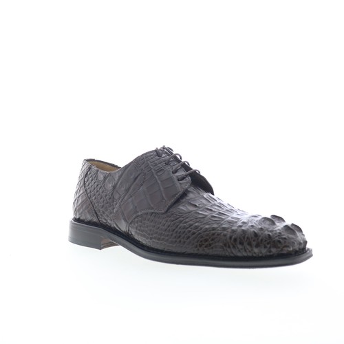 Ferrini alligator 228 - ferrini, hb