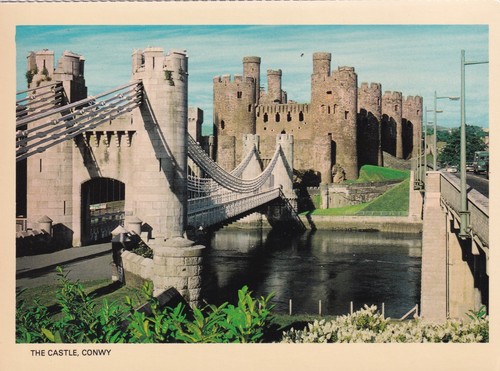 The castle conwy suspension - castle,