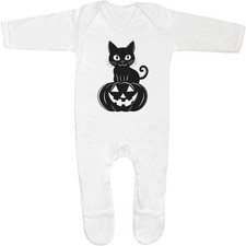 'Cat on Halloween Pumpkin'