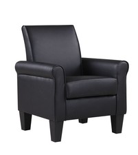 Modern Accent Arm Chair Single