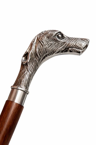 Vintage dog head walking - vintage,