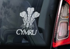 Wales 'Cymru' - Car Window