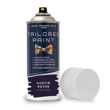Aerosol Paint For Classic Car
