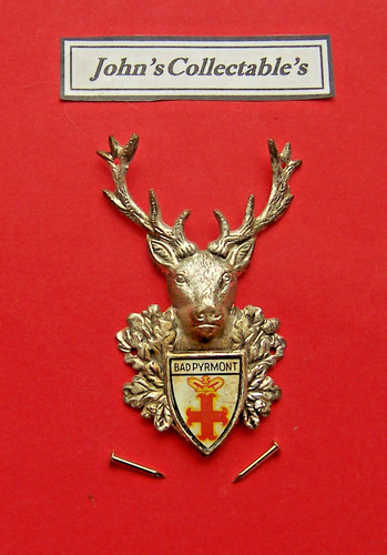 Bad pyrmont stags - bad, head