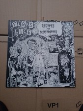 Fleas & Lice Recipes for