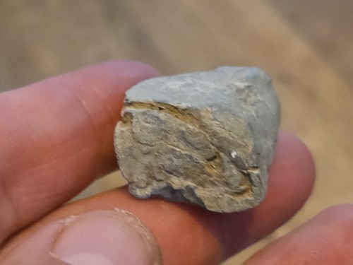 Viking very rare lead - rare, crude