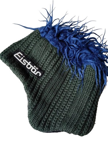 Eisbar winter ski snow furry - ski,