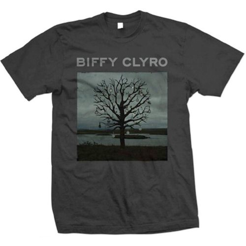 Biffy clyro chandelier - biffy,