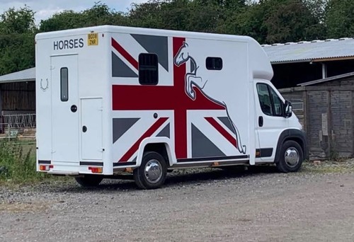 Fiat ducato horse box - horse,