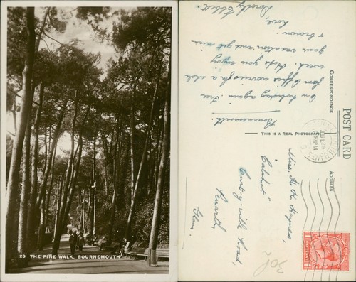 Bournemouth pine walk - bournemouth,