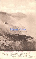 Charmouth Cliffs Axminster