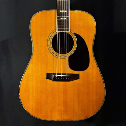 Morris acoustic guitar - morris,