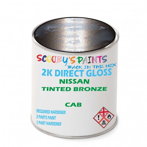 Paint for nissan tinted - paint,