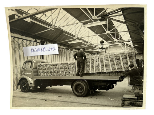 Guy motors otter lorry - otter,