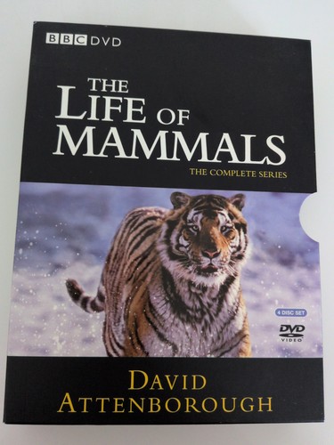 Life mammals david - of,