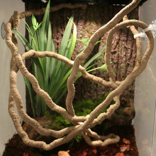 Reptiles vine jungle - 1m,