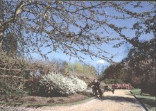 CHELMSFORD, HYLANDS PARK