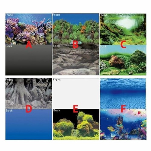 Superfish aquarium background - superfish,