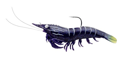 Live target saltwater shrimp - live,