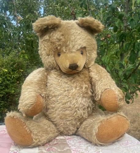 Large old steiff - (65cm),