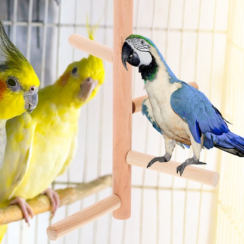 Pcs wooden bird - wooden,