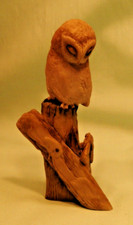 Teviotdale Owl on Fence Post