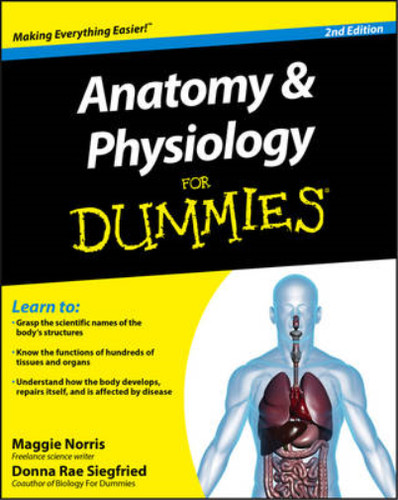 Anatomy physiology for - anatomy, &