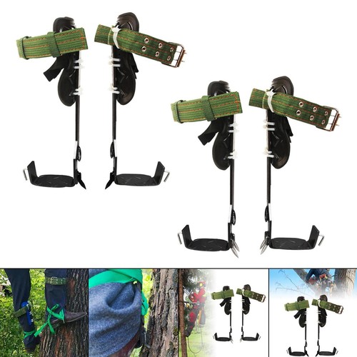 Tree climbing spike - tree,