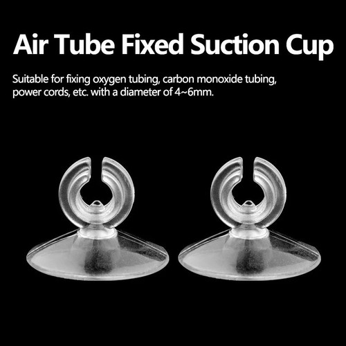 Suction cups sucker for - suction,