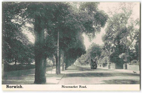 Norwich newmarket road norfolk - road,