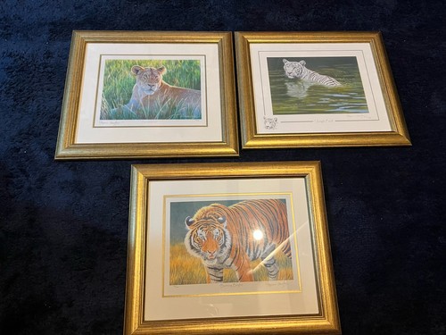 Stephen gayford framed - 3,