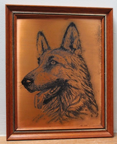 Alsatian - (german, shepherd)