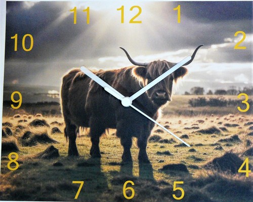 Highland cattle wall - cattle, hanging
