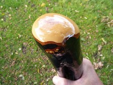 HUGE IRISH BLACKTHORN