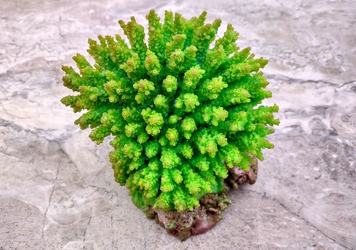 Green faux table coral - green,