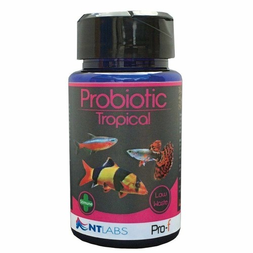 Labs pro probiotic - nt,