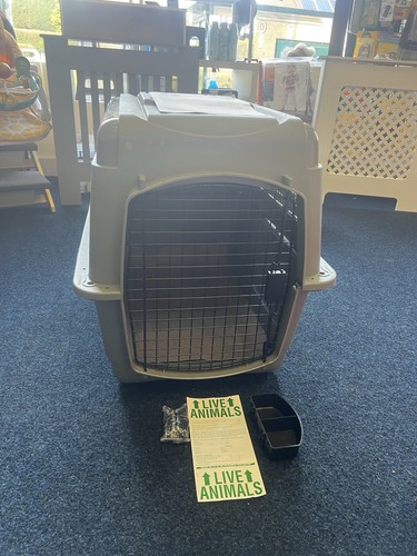 Transporter kennel - xl,