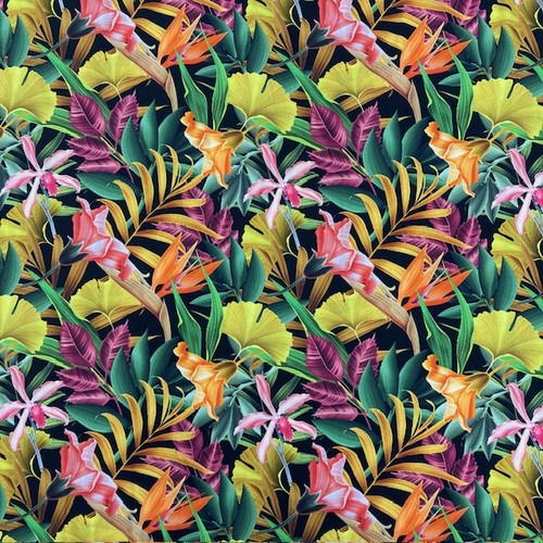 Little johnny tropical - little,