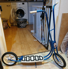 Vintage Blue & White Raleigh