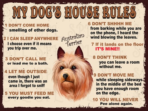 Dog house rules - dog's,