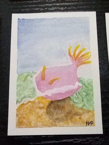 Aceo sea slug original - slug,