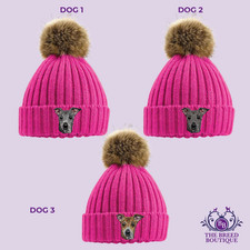 ITALIAN GREYHOUND POM POM