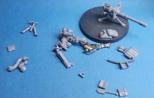 Catachan imperial guard - imperial,