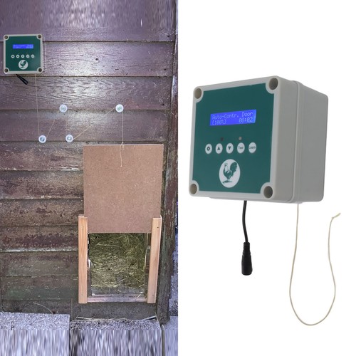 Automatic chicken coop door - chicken,